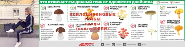 герыч Белокуриха